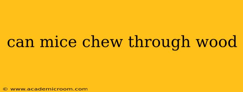can mice chew through wood