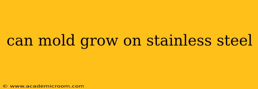 can mold grow on stainless steel