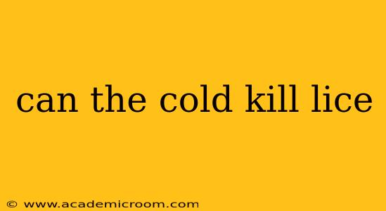 can the cold kill lice
