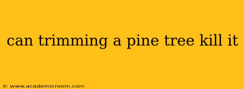 can trimming a pine tree kill it