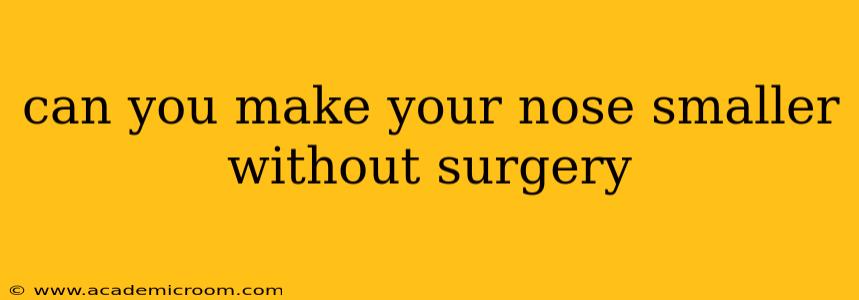 can you make your nose smaller without surgery