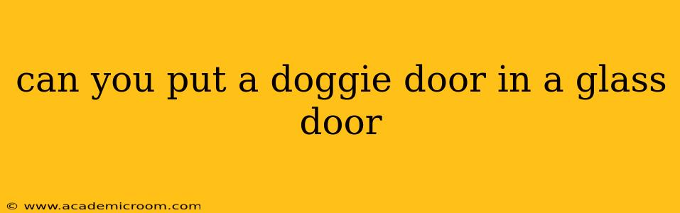 can you put a doggie door in a glass door
