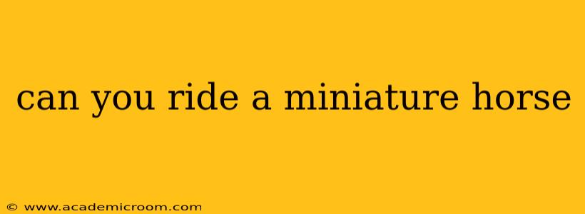 can you ride a miniature horse