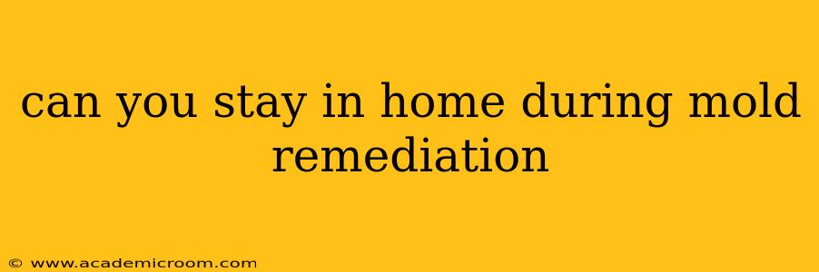 can you stay in home during mold remediation
