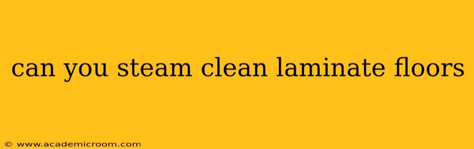 can you steam clean laminate floors
