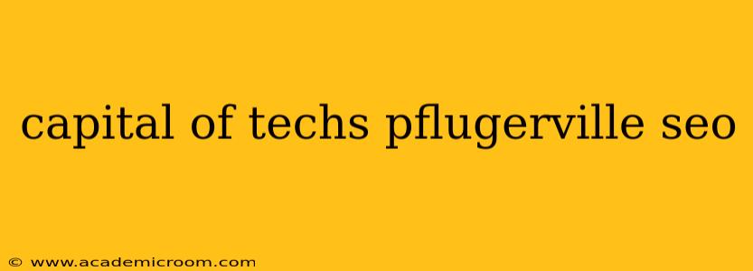 capital of techs pflugerville seo