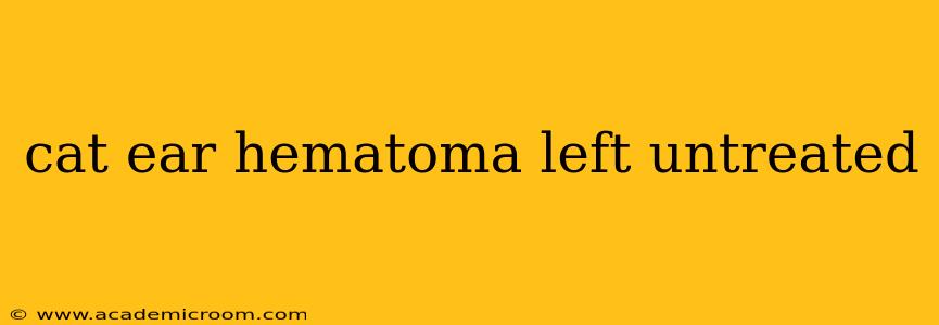 cat ear hematoma left untreated