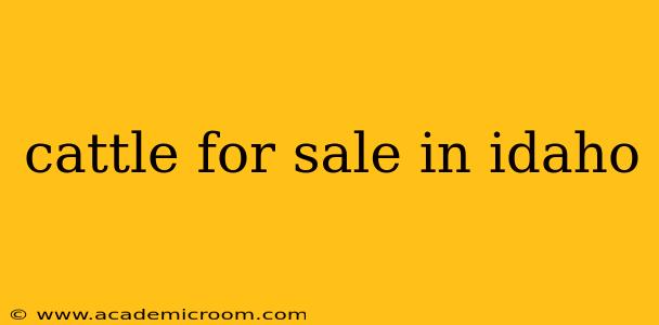 cattle for sale in idaho
