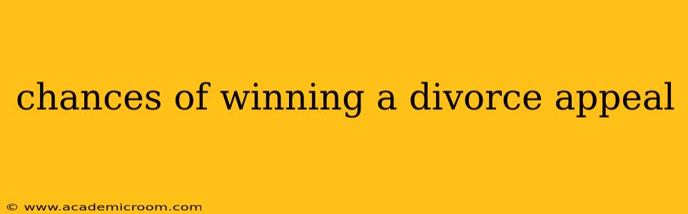 chances of winning a divorce appeal
