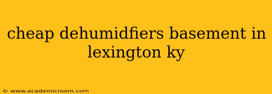 cheap dehumidfiers basement in lexington ky