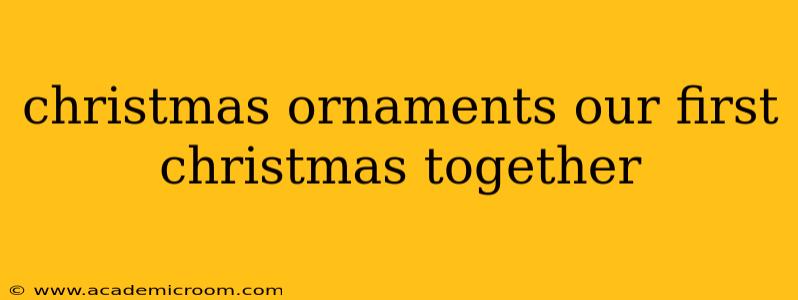 christmas ornaments our first christmas together