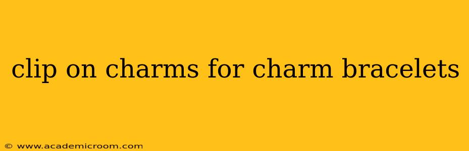 clip on charms for charm bracelets