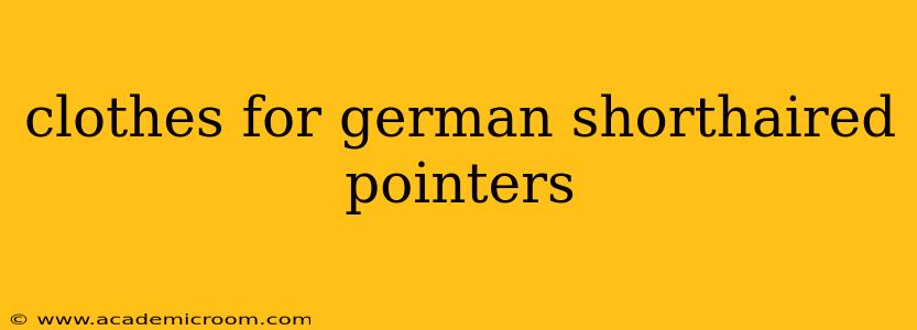 clothes for german shorthaired pointers