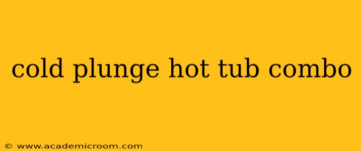 cold plunge hot tub combo