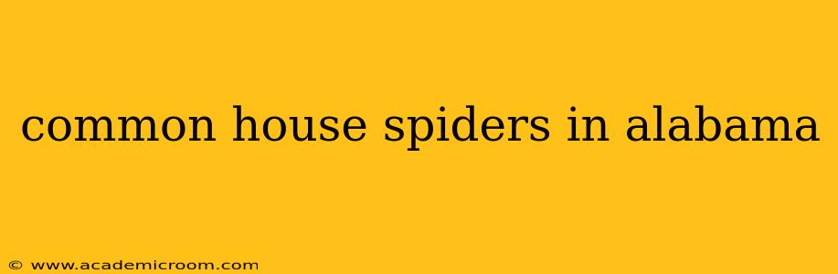 common house spiders in alabama
