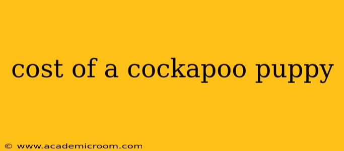 cost of a cockapoo puppy