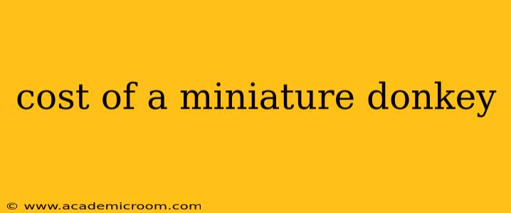 cost of a miniature donkey