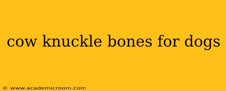 cow knuckle bones for dogs