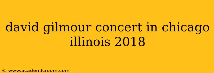 david gilmour concert in chicago illinois 2018