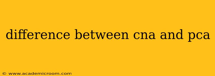 difference between cna and pca