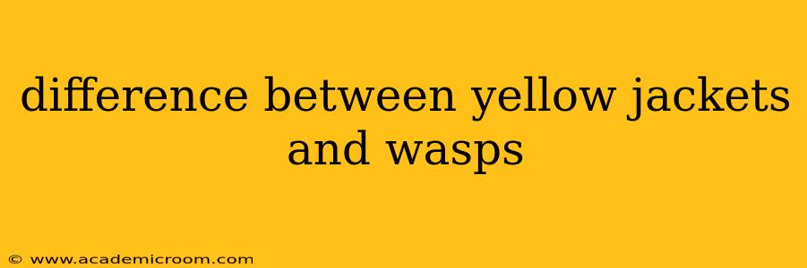 difference between yellow jackets and wasps