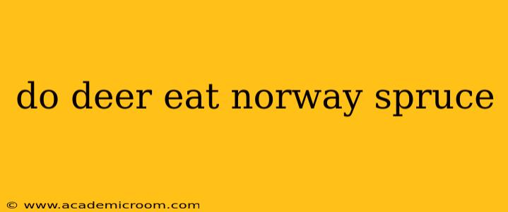do deer eat norway spruce