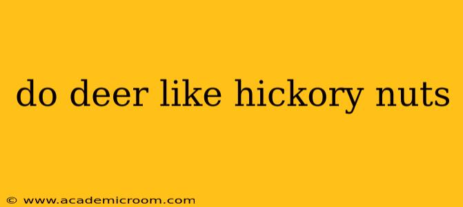 do deer like hickory nuts