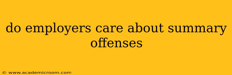do employers care about summary offenses