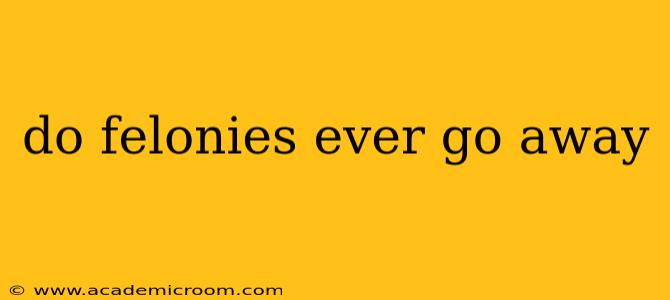 do felonies ever go away