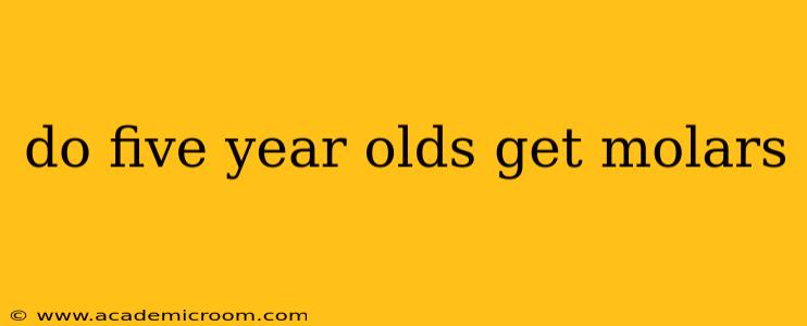 do five year olds get molars