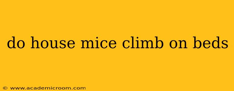 do house mice climb on beds