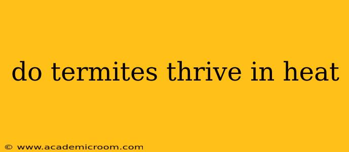 do termites thrive in heat