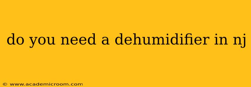 do you need a dehumidifier in nj