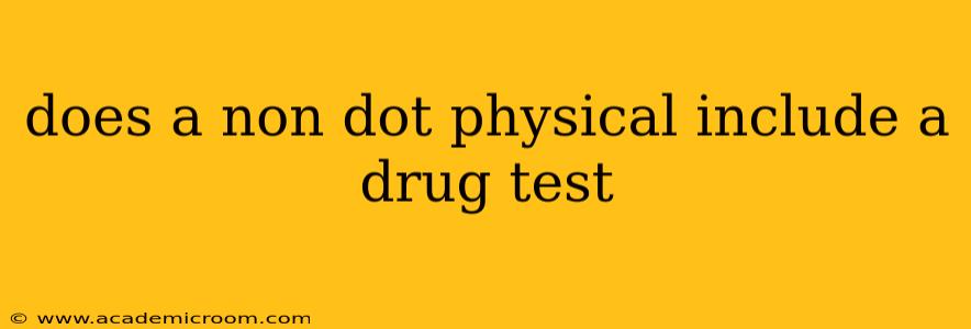does a non dot physical include a drug test