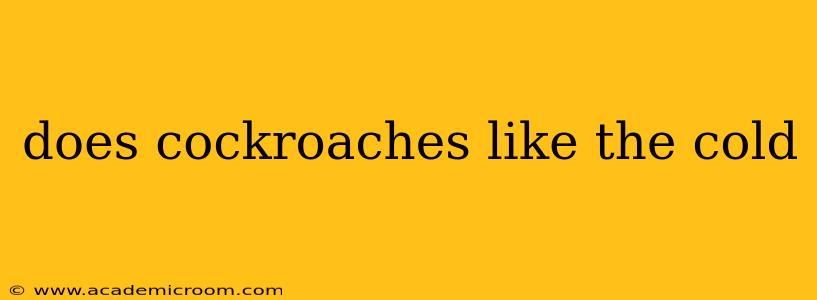 does cockroaches like the cold