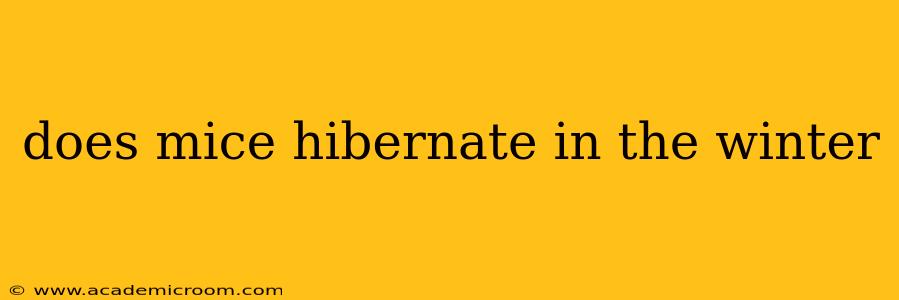 does mice hibernate in the winter