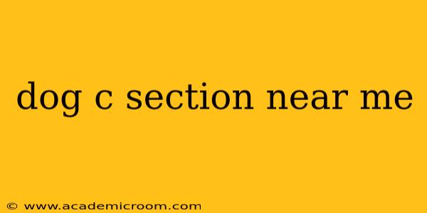 dog c section near me