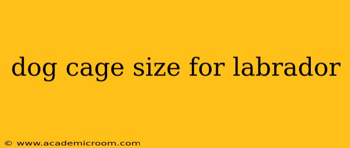 dog cage size for labrador