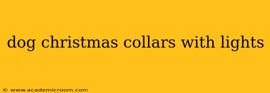 dog christmas collars with lights