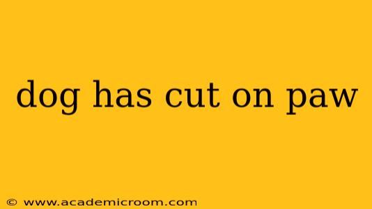 dog has cut on paw