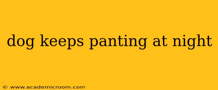 dog keeps panting at night