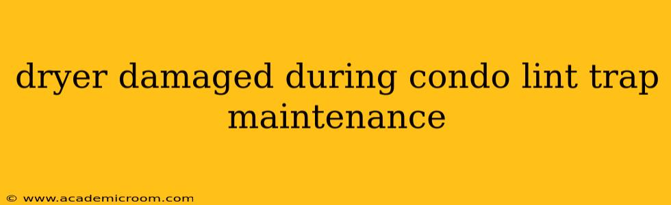 dryer damaged during condo lint trap maintenance