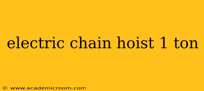 electric chain hoist 1 ton