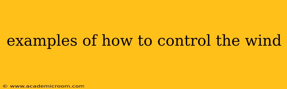 examples of how to control the wind