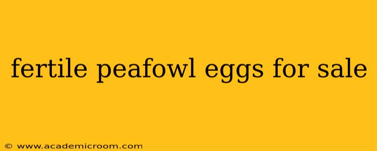 fertile peafowl eggs for sale