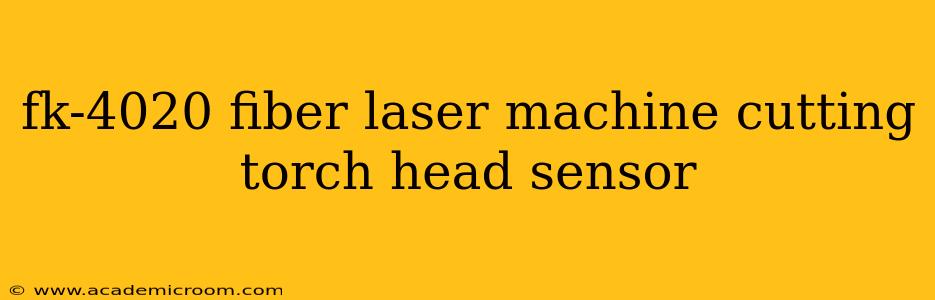 fk-4020 fiber laser machine cutting torch head sensor