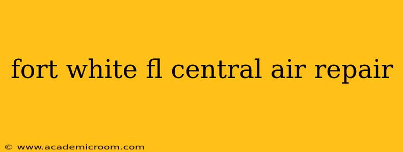 fort white fl central air repair