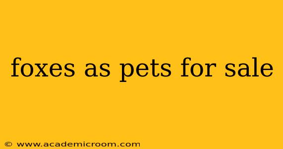 foxes as pets for sale
