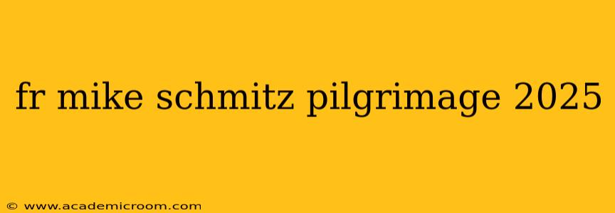 fr mike schmitz pilgrimage 2025