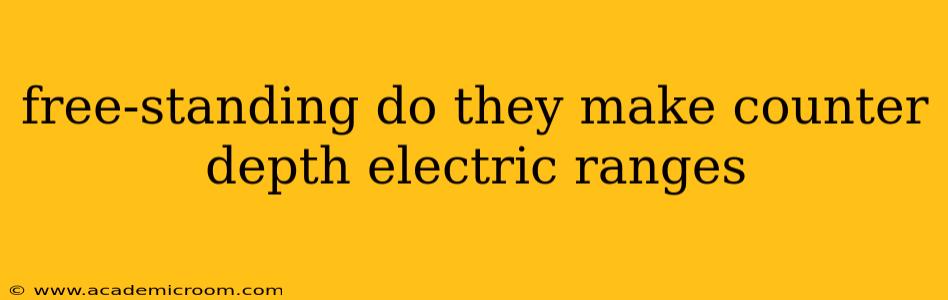 free-standing do they make counter depth electric ranges